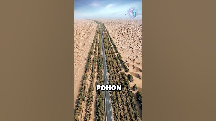 Kenapa Cina Menanam Jutaan Pohon di Gurun?