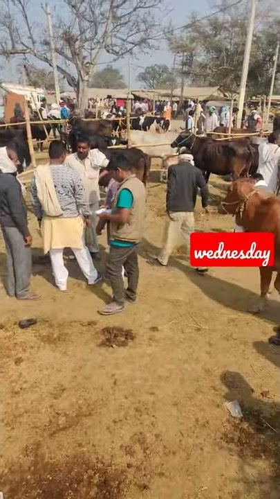Chausa Mela Buxar Bihar