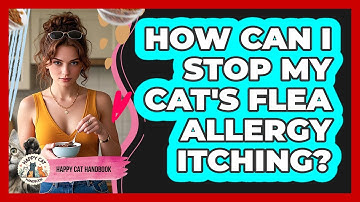 How Can I Stop My Cat