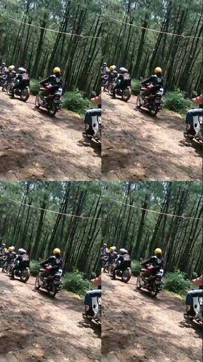 Story' WA Ghost Rider,Tua-Tua Keladi#Shorts #storywa #viral #botroxtv #ghostrider