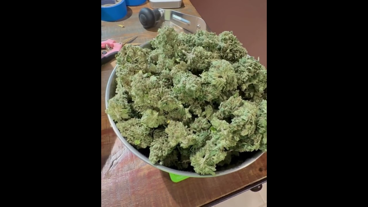 Auto flower harvest 
