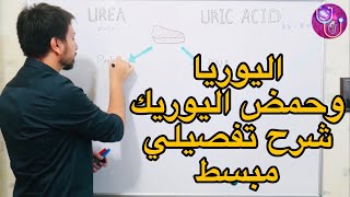 ما الفرق بين اليوريا وحمض اليوريك ؟ Urea Vs Uric Acid  وما هو النقرس ؟