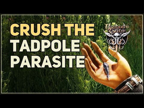 Crush the Tadpole Parasite Baldur's Gate 3