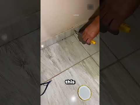 Ядовитый скорпион в доме! 🦂 Опасность, насекомые, разрушение, выживание