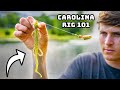 The last carolina rig youll ever need crig masterclass