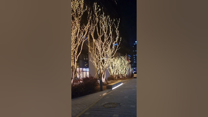 이번 크리스마스가 기다려지는 이유
