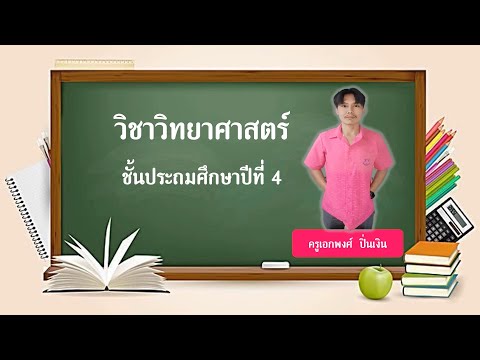 วิทยาศาสตร์ป.4 แบบฝึกหัดท้ายบทเรียนที่1 #วิทยาศาสตร์ #สอนวิทย์ByKrooBB #การเรียนรู้แบบนักวิทยาศาสตร์