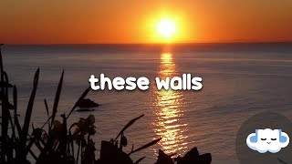 Dua Lipa - These Walls (Clean - Lyrics)