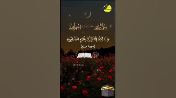 قران كريم _#القارئ مشاري العفاسي #سورة_مريم#quran #اللهم ارزق كل محروم الذرية الصالحة #يارب