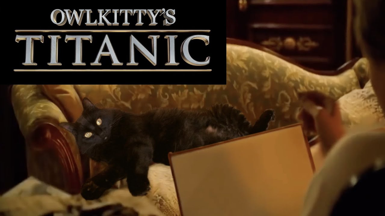 TITANIC - starring my cat OwlKitty - YouTube