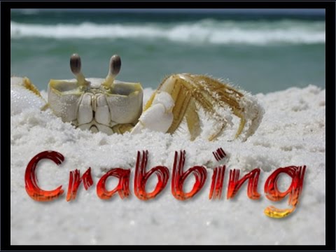 Crabbing In Destin Fl Youtube