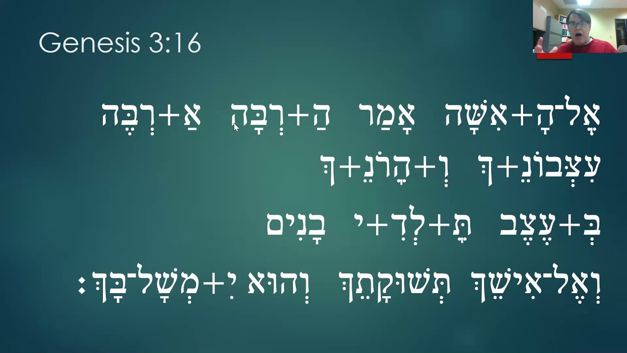 10-3-genesis-3-15-16-hebrew-grammar-youtube