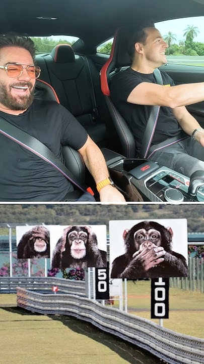 O ÚLTIMO MACAQUINHO FERROUUU! 🙈 #Shorts