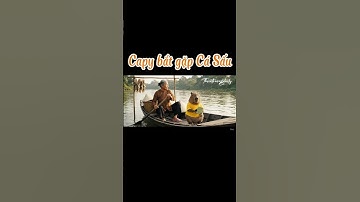 Phần 74: Capy gặp Cá Sấu #thientruongdaily #funny #capybara #ai