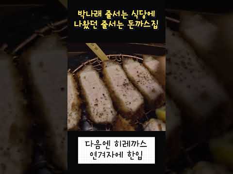 일산 돈까스 맛집 줄서는 식당 Shorts 