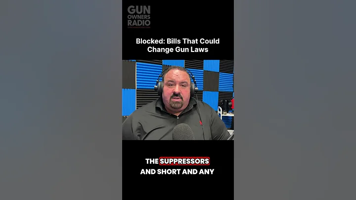 Blocked: Bills That Could Change Gun Laws