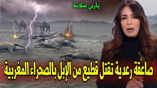 عاجل صاعقة رعدية قوية تضرب قطيع من الإبل بالصحراء المغربية- اخبار المغرب اليوم الثلاثاء 30 ابريل2024