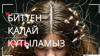 Биттен құтылудың жолдары. Битти қалай кетируге болады. Сіркеден арылу жолдары.