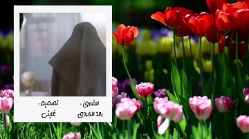 قرأن كريم بصوت رعد الكردي // اجمل حالات واتس اب دينية // تلاوة خاشعة 🌹🌸