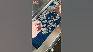 stainless steel prawn peeler shrimp deveiner deheading machine shrimp skin peeling machine
