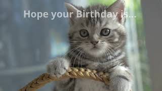 Adorable Cats & Kittens Birthday Card Video~Happy Birthday Wishes Cat Music Video ~ Whatsapp Status