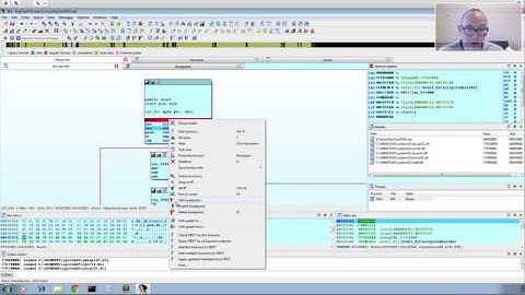 IDA Pro Malware Analysis Tips