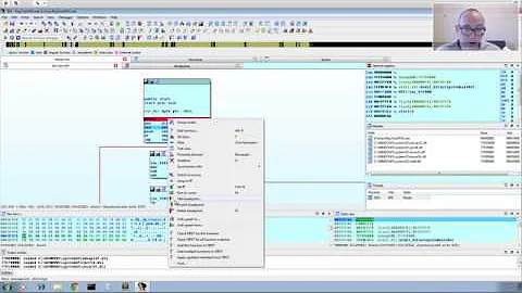 IDA Pro Malware Analysis Tips