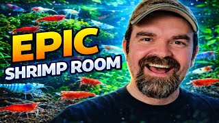 Aquarium Shrimp Care: New Daily Shrimp Room Routine & Tank Updates