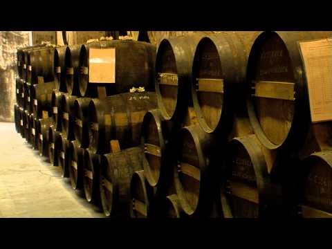 Vídeo: Com Triar Un Cognac Econòmic