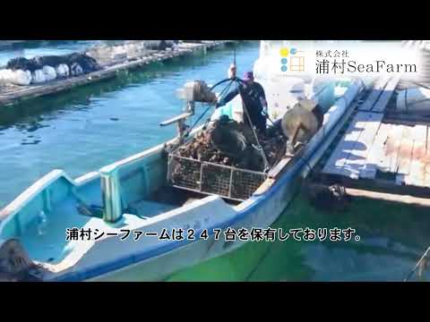 株式会社浦村ＳｅａＦａｒｍ