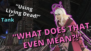 [FFXIV] How Tanks Work But From a Healer