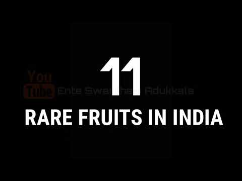 Rare fruits in India ! | Ente Swantham Adukkala