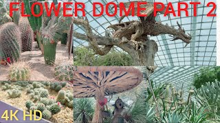 FLOWER DOME PART 2 || SUCCULENT GARDEN || THE BAOBABS || GARDENS BY THE BAY || 2022 || 4KHD ||