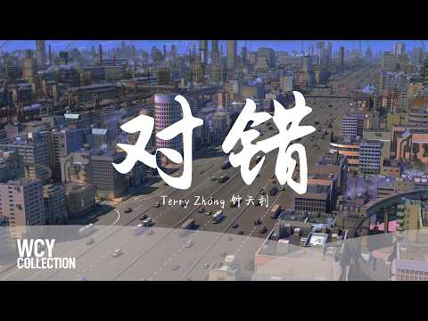Terry Zhong 钟天利 - 对错 「I feel so cold」【動態歌詞/pīn yīn gē cí】【動態歌詞/Lyrics Video】 #Terry Zhong 钟天利 #对错