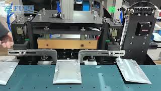 Premade Pouch Bagging Machine | Premade Bag Filling & Sealing Equipment