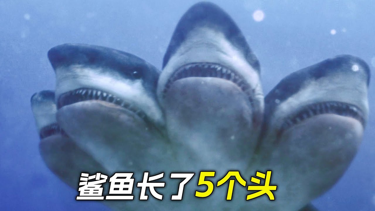 鯊魚長出了二三四五六個頭，瘋狂地攻擊人類，科幻，奇幻，電影，解說