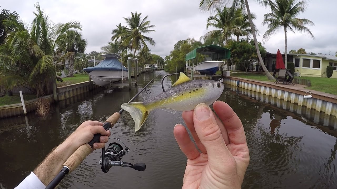 Exploring New Waters!!