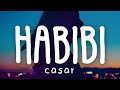 Casar  habibi dj emix remix