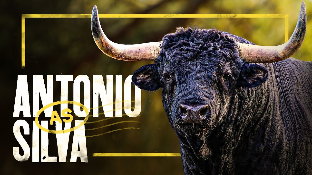 GANADERIA ANTONIO SILVA | Estampas de Portugal