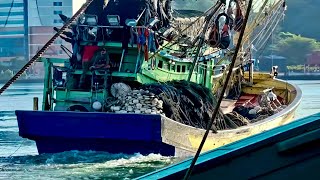 “Lucky Night at Sea! TRF1355 Hits Big with Squid Trawl Net”