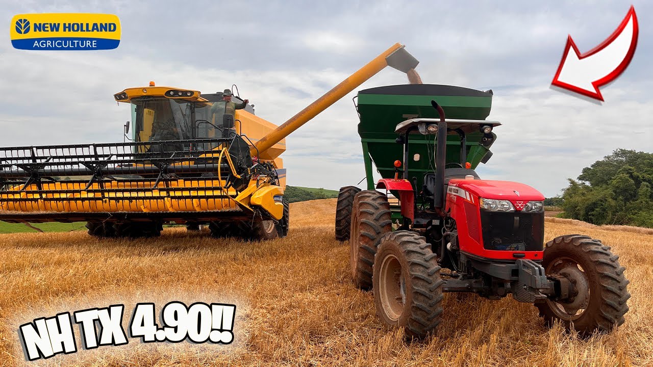 ULTIMA COLHEITA DO TRIGO DE 2023!! COM A NH TX 4.90!!