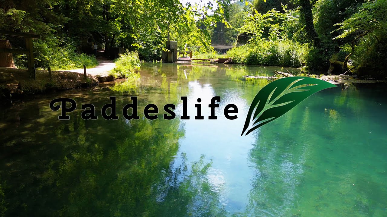 Wanderung bei der Wimsener Höhle im Sommer