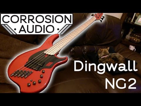 dingwall-ng2-demo-(metal)-|-corrosion-audio
