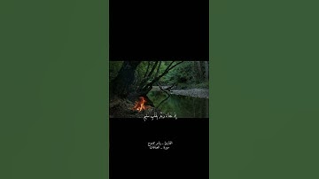 سَلَامٌ عَلَىٰ نُوحٍ فِي الْعَالَمِينَ||تلاوة مريحة بصوت القارئ ياسر ممدوح🌿💗