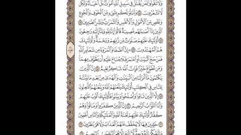 سورة البقرة ( 154 ـ 163 ) ياسر الدوسري ( 24 )