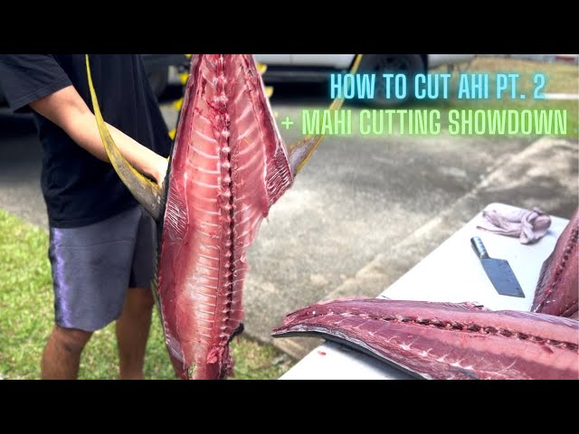 HOW TO: CUT/PROCESS AHI (YELLOWFIN TUNA) PT. 2 + MAHI CUTTING