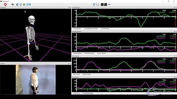 The MotionMonitor with Delsys Trigno Avanti- Biceps Curl Task