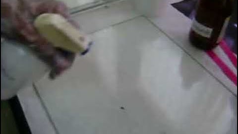 SSR Marker separation using PAGE  Part I