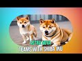 Astra Nova & Shiba Inu Partner to Revolutionize Web3 Gaming