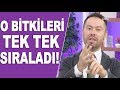 İşte şeker düşürücü doğal bitkiler